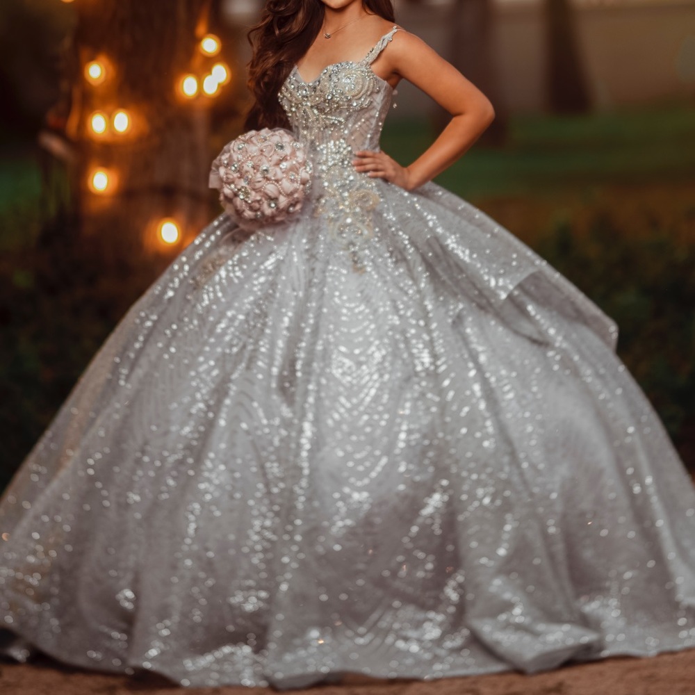 Quinceañera dress/ sweet sixteen/ wedding/ prom